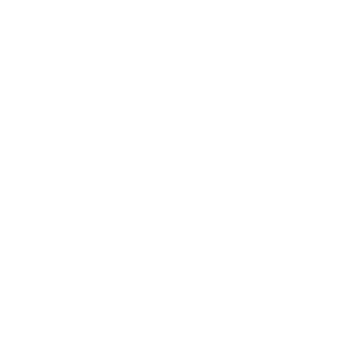 Audit Management