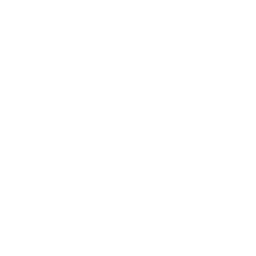 AI Model Paradigm